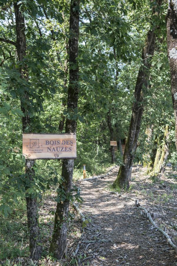 Bois Des Nauzes Villa Seyches Eksteriør billede